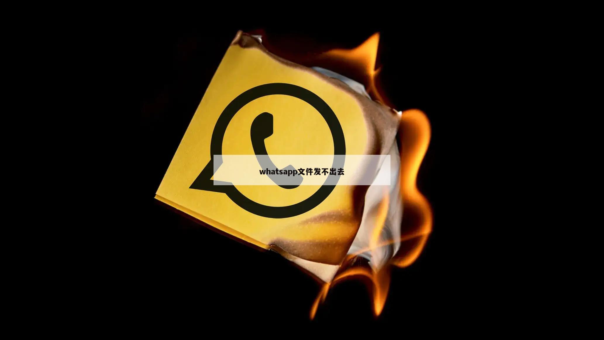 whatsapp文件发不出去